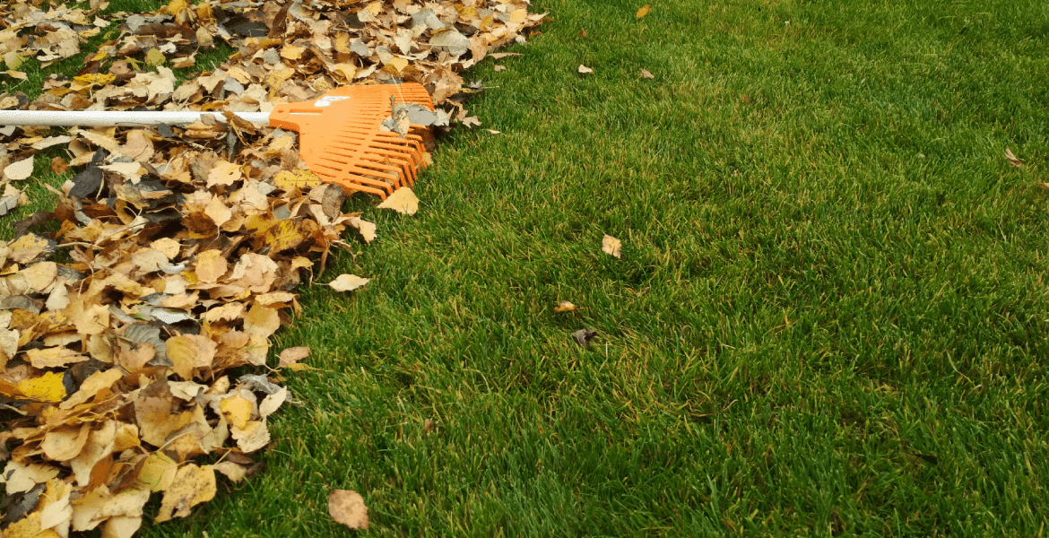D&S Lawncare